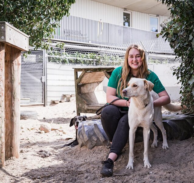 Opvang hond in hondenhotel Amsterdam