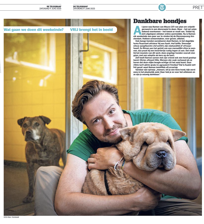 Vrijwilligerswerk bij DOA dierenasiel Amsterdam