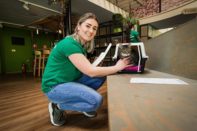 receptionist DOA Amsterdam vrijwilligerswerk