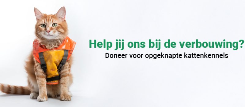 Header_KATTENKENNELS_V05