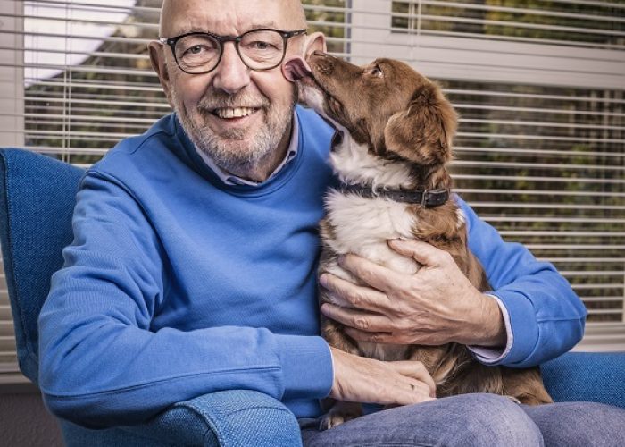 Dier adopteren DOA hoe gaat dat Dier adopteren DOA hoe gaat dat