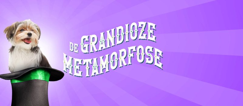 header_aaangesneden