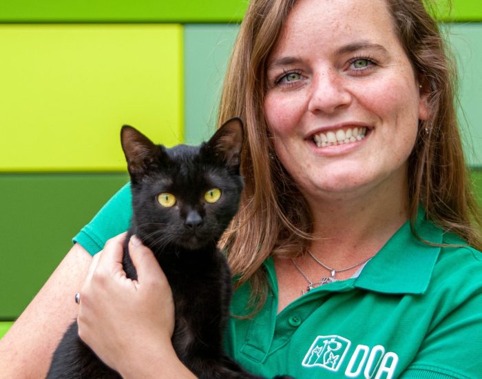 Kat adopteren kitten adopteren Dierverzorger Anniek helpt bij kat adopteren en kitten adopteren