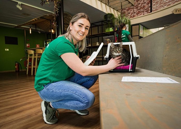 receptionist DOA Amsterdam vrijwilligerswerk